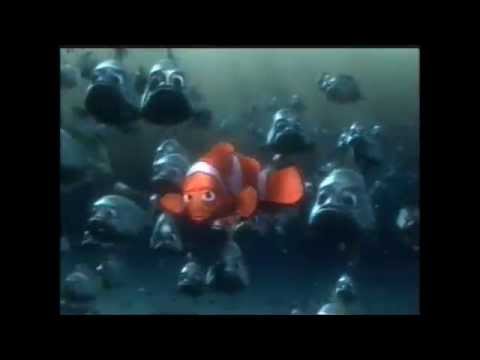 The concept of collective action and its impact on the team  the movie Nemo